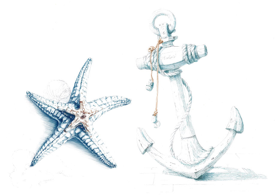 Ilustración de una estrella de mar y un ancla